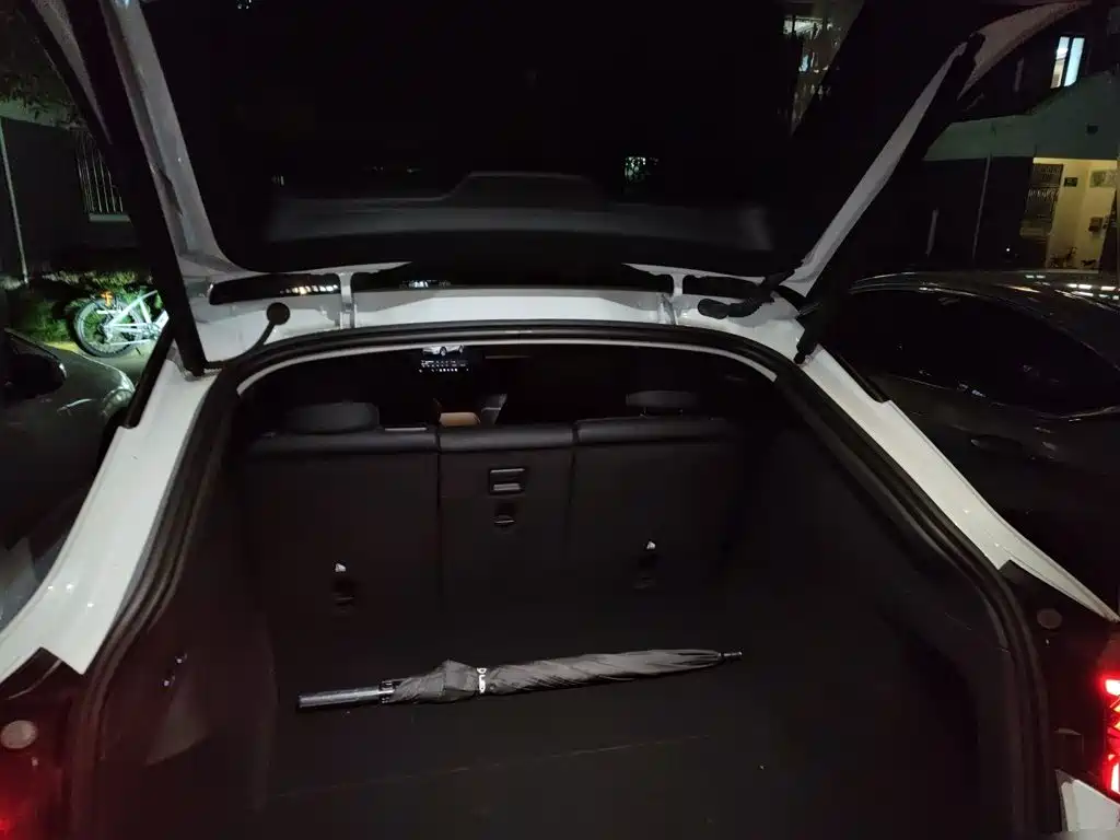 Tesla Model Y — миниатюра 15