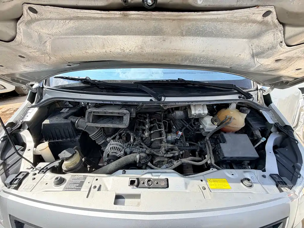 Foton Tuyano — миниатюра 6