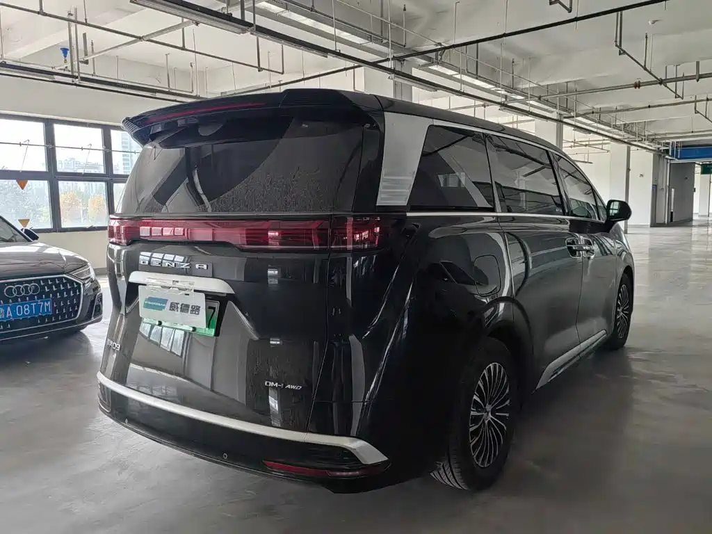 Denza Denza D9 — миниатюра 6