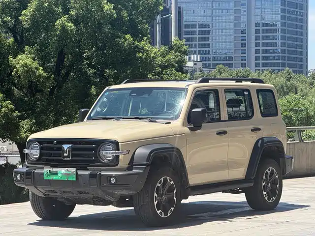 2025 TANK 300