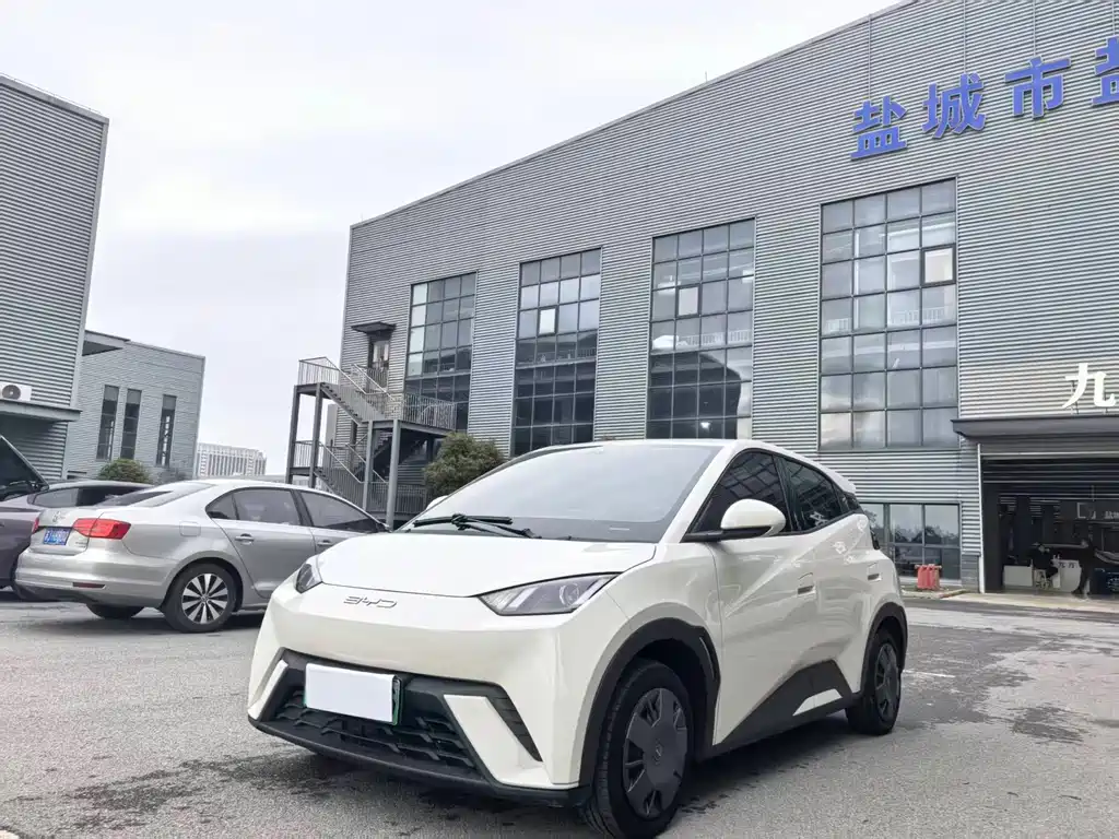 Byd Seagull 2023
