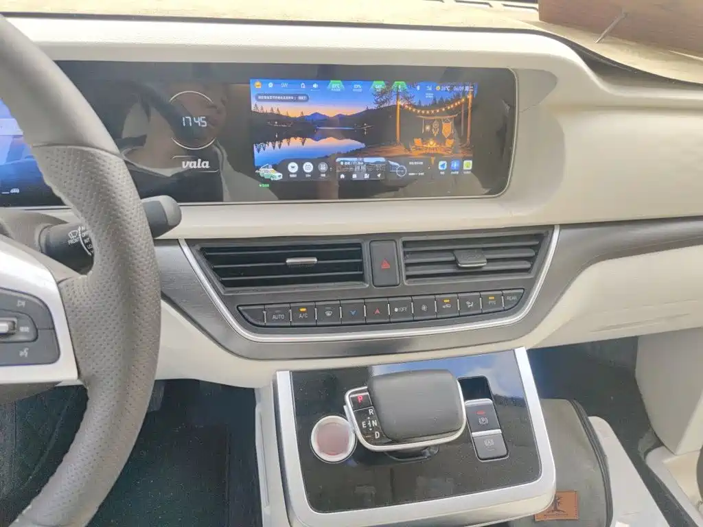 BAIC vala pro