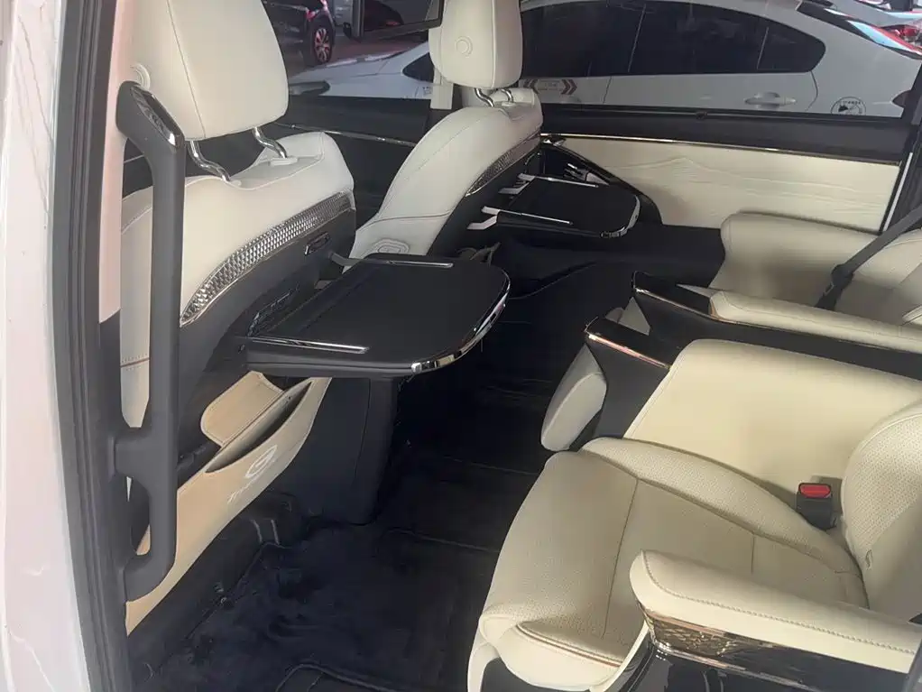 GAC Trumpchi E9 2023 — фото 20