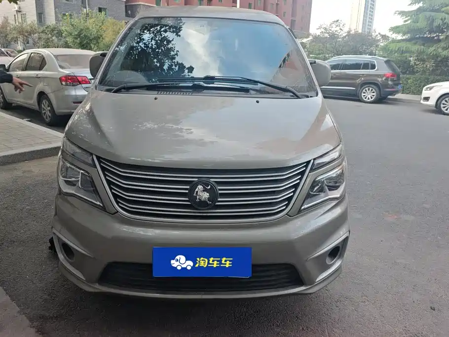 Fengxing Lingzhi — миниатюра 2
