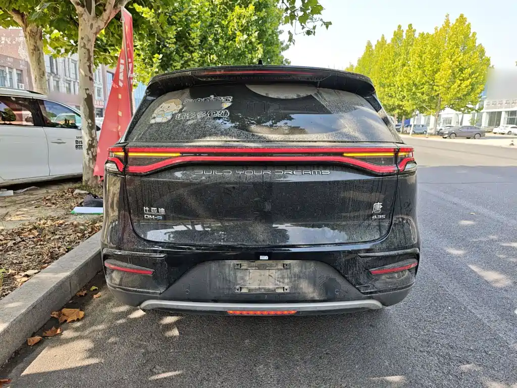 BYD Tang New Energy — миниатюра 6