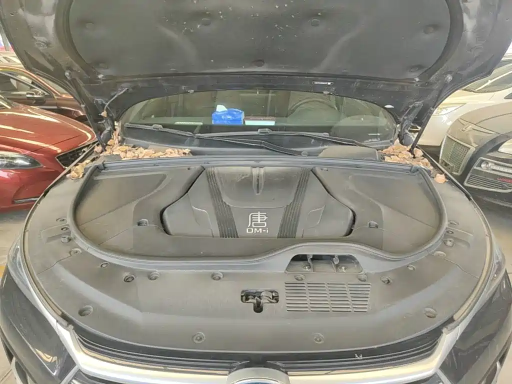 BYD Tang New Energy — миниатюра 16