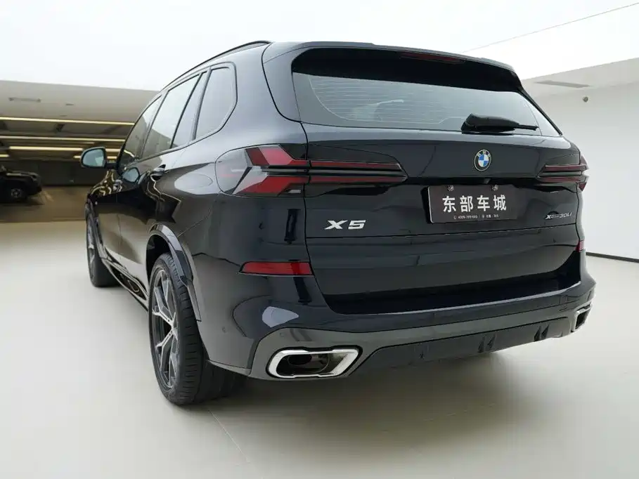 BMW X5 — миниатюра 4