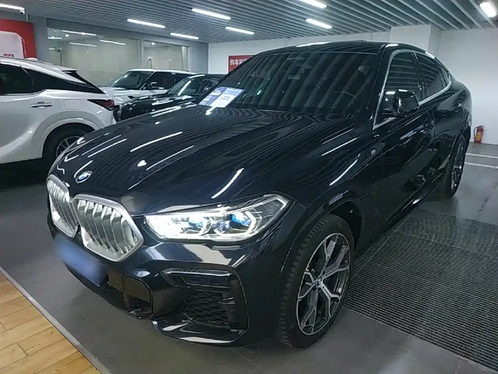 BMW X6 2022