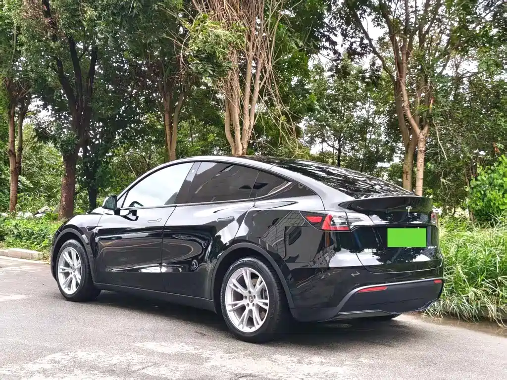Tesla Model Y — миниатюра 5