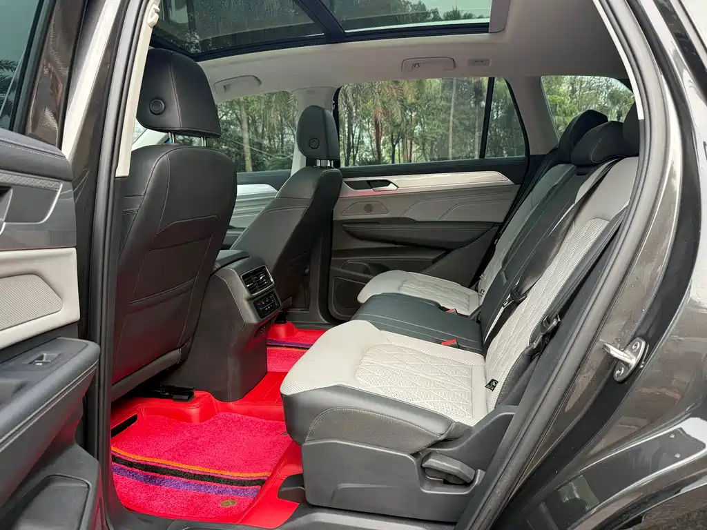 Volkswagen Tavendor 380TSI 4WD R-Line Patrol Ceremony Edition, фото 4
