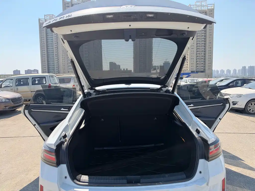 Volkswagen Lamando — миниатюра 15