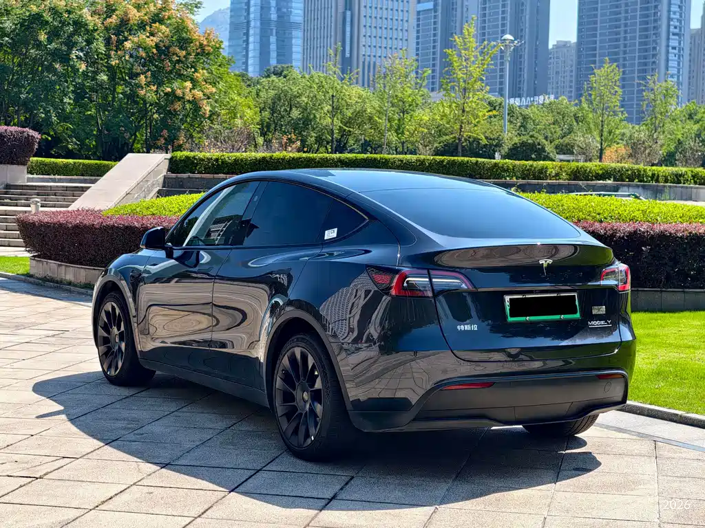 Tesla Model Y — миниатюра 14