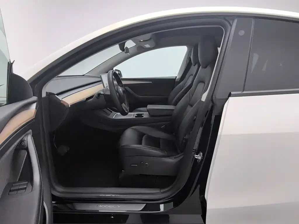 Tesla Model Y — миниатюра 10