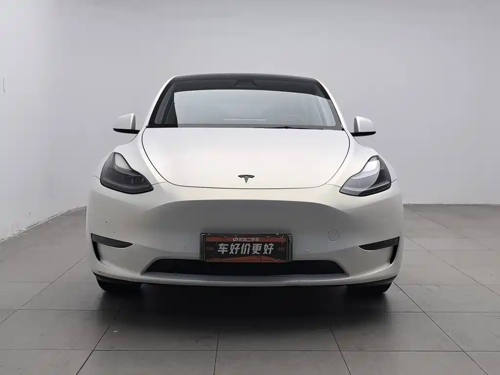 Tesla Model Y — миниатюра 3