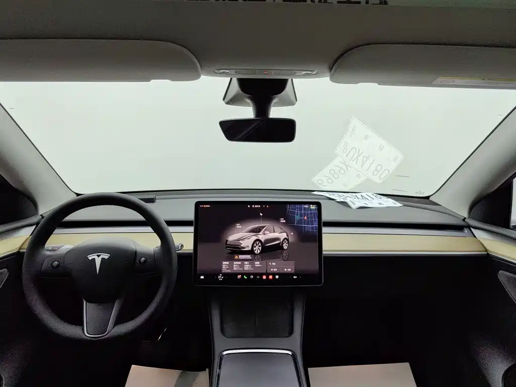 Tesla Model Y — миниатюра 6