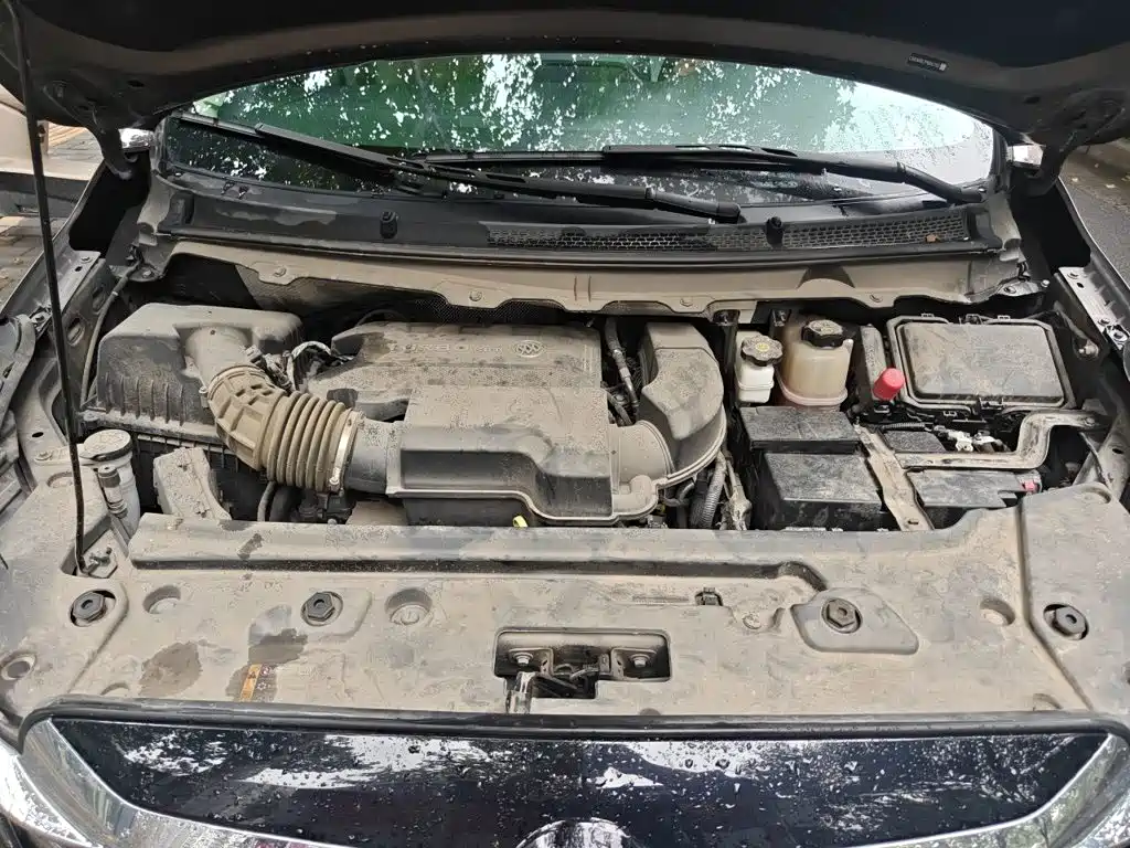 Buick GL8 — миниатюра 11