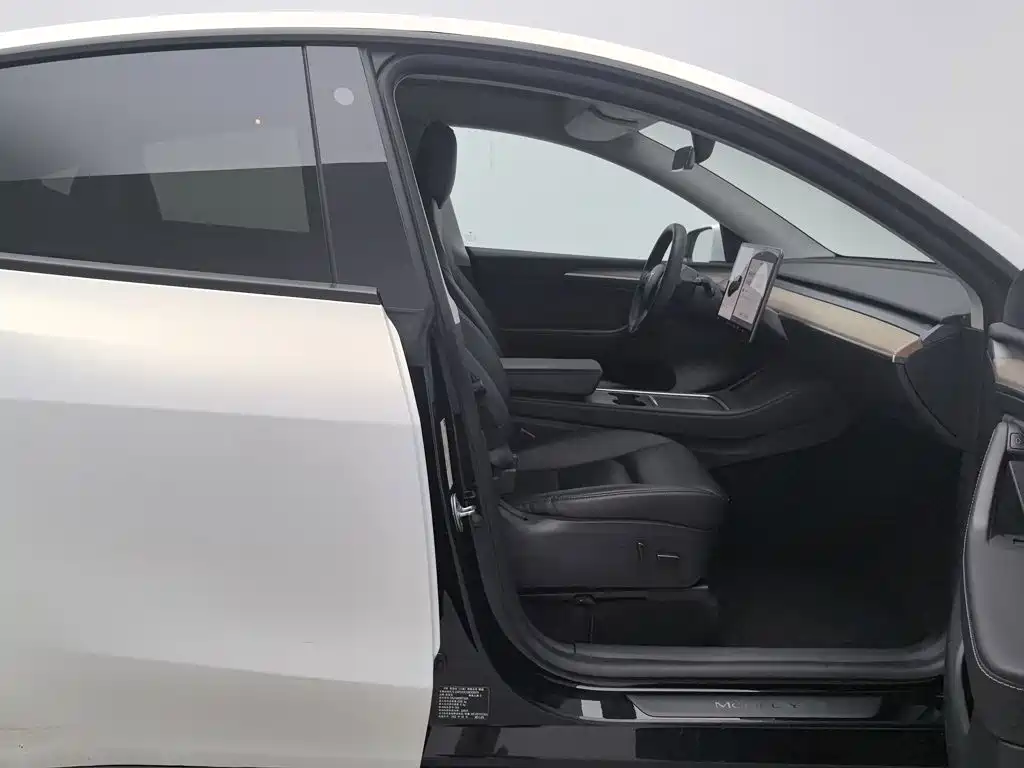 Tesla Model Y — миниатюра 23
