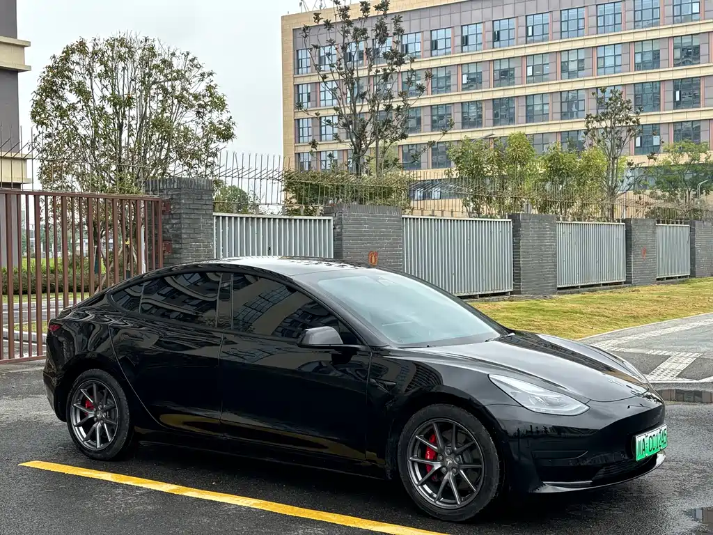 Tesla Model 3 — миниатюра 3