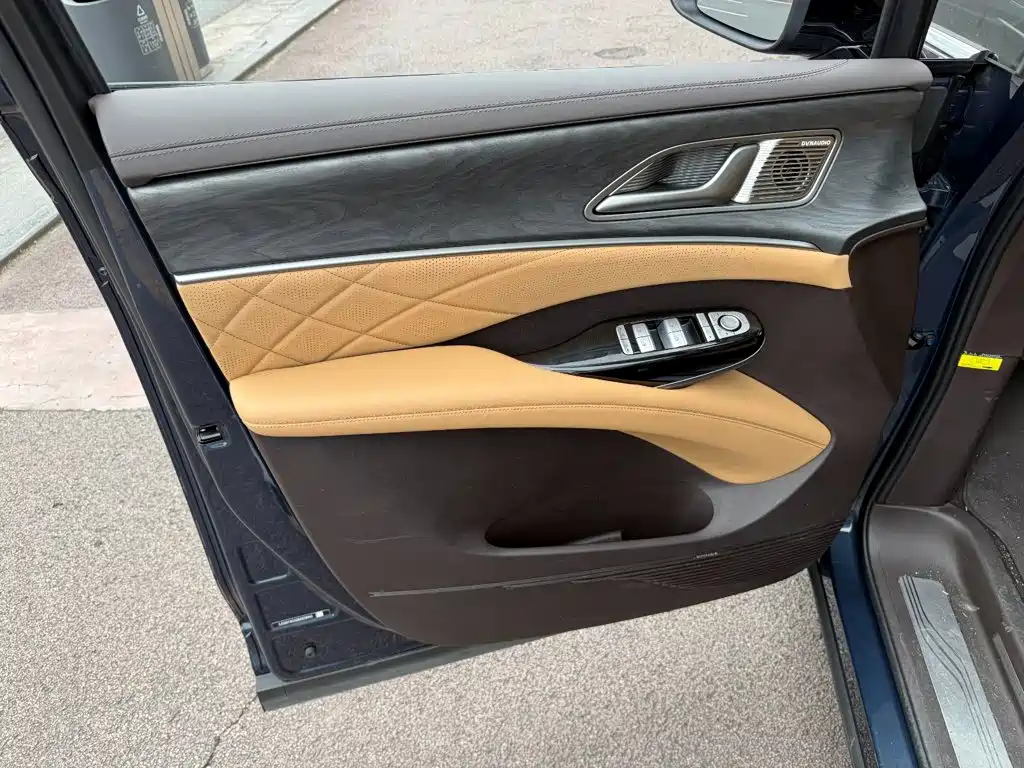 Denza Denza D9 — миниатюра 6