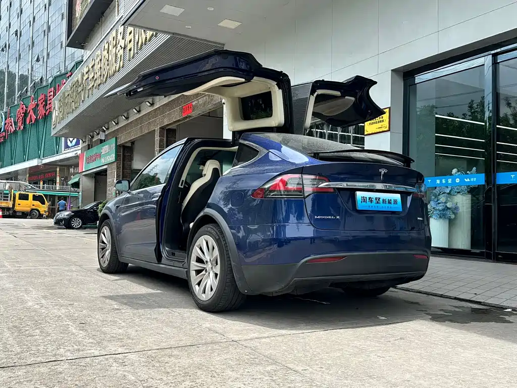 Tesla Model X 2017 Model X 100D