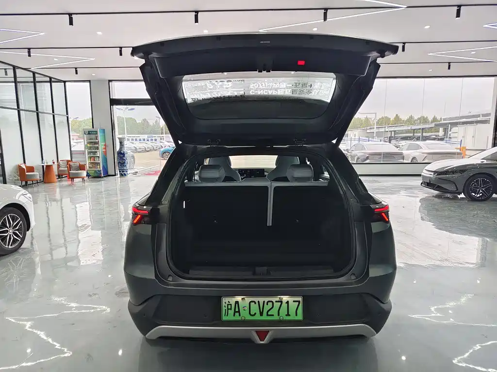 ARCFOX EXTREME FOX POLAR FOX ALPHA T5