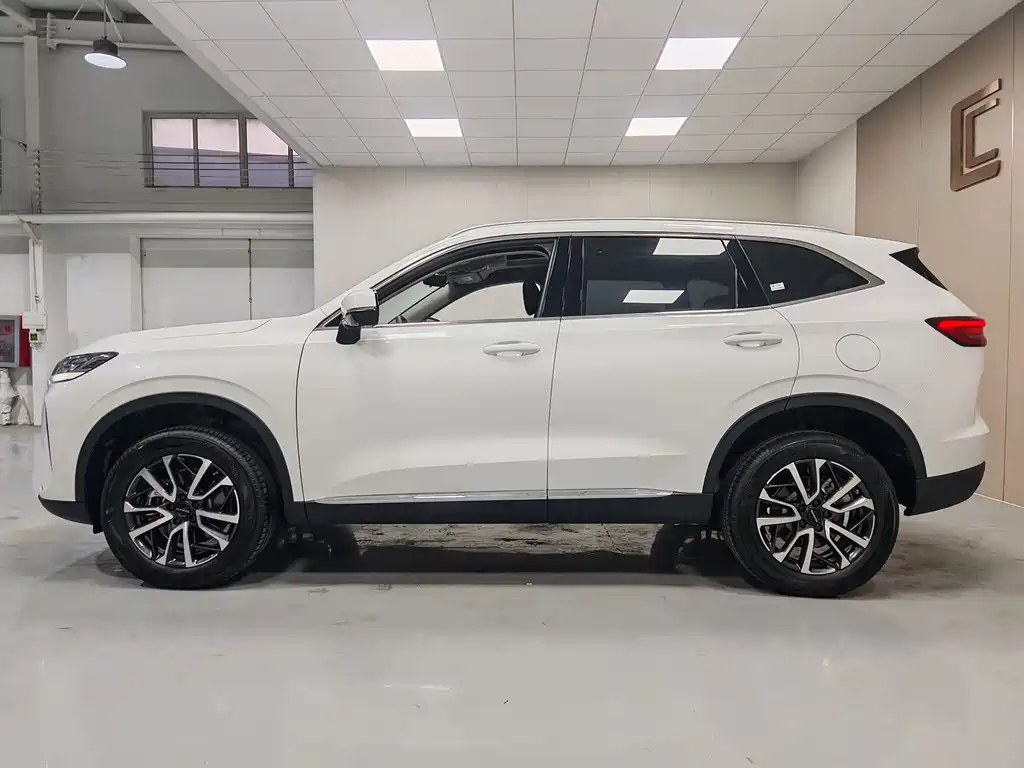 Haval H6 — миниатюра 14