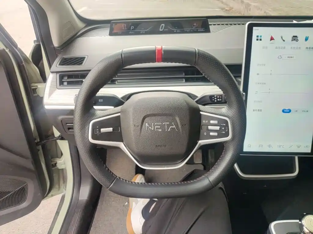 Neta Neta V — миниатюра 11