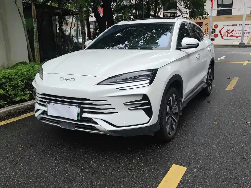 BYD SONGJIANG NEW ENERGY