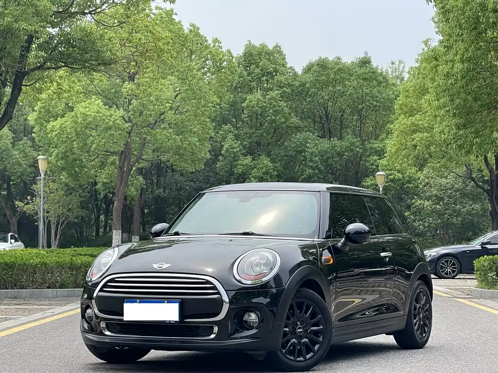 Mini Mini 2018