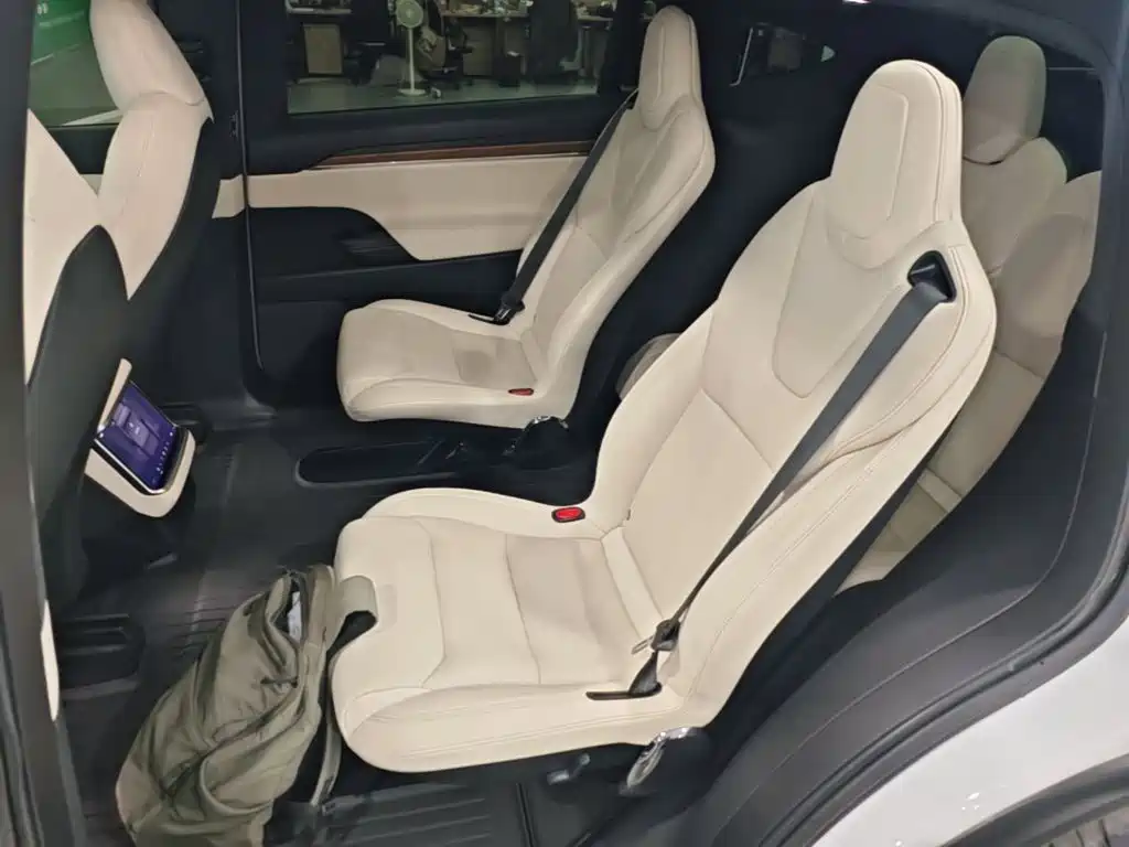 Tesla Model X — миниатюра 17