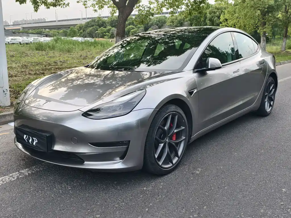 Tesla Model 3 2021