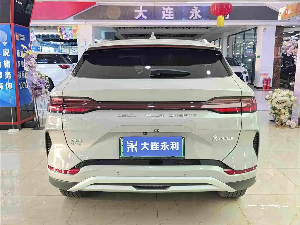BYD PLUS New Energy — миниатюра 5