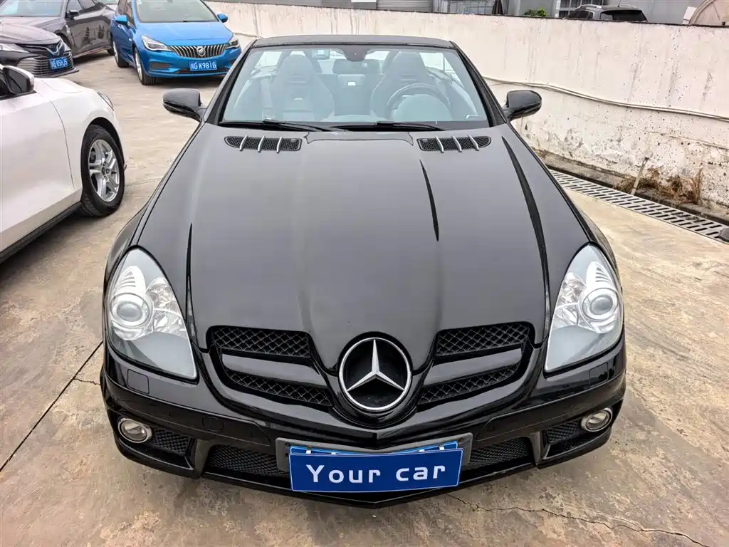 Mercedes-Benz SLK A MG SLK AMG 2010 AMG SLK 55