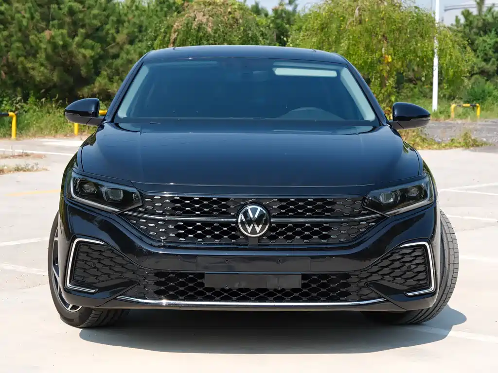 Volkswagen Passat — миниатюра 2