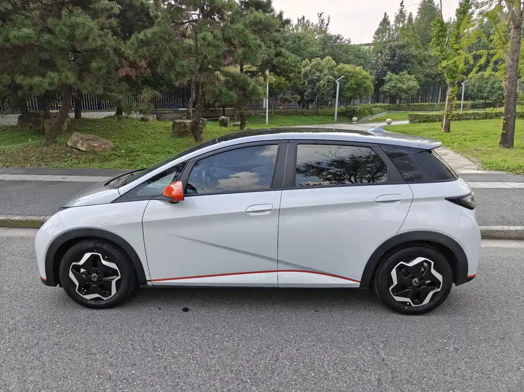 BYD Dolphin — миниатюра 4