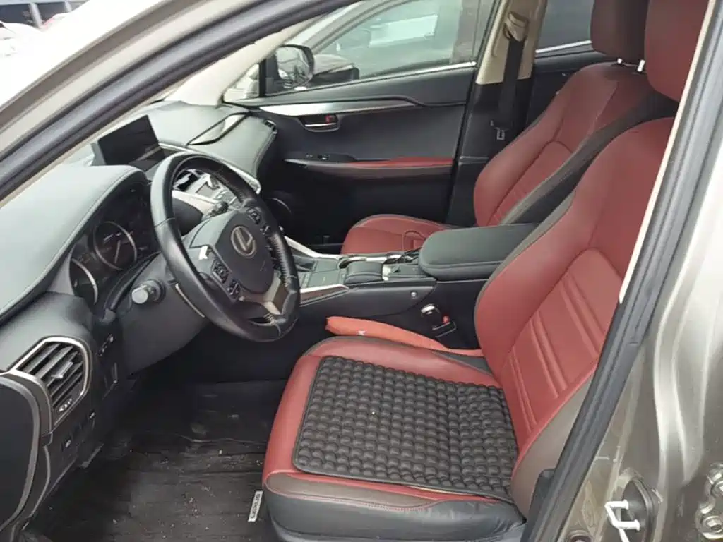Lexus NX — миниатюра 15