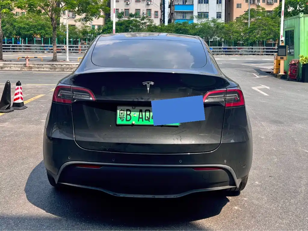 Tesla Model Y — миниатюра 5