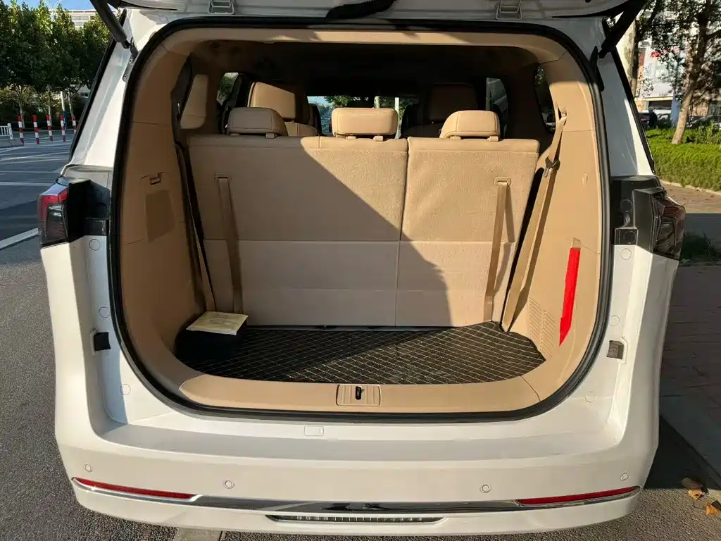 Buick GL8 Hybrid — миниатюра 19