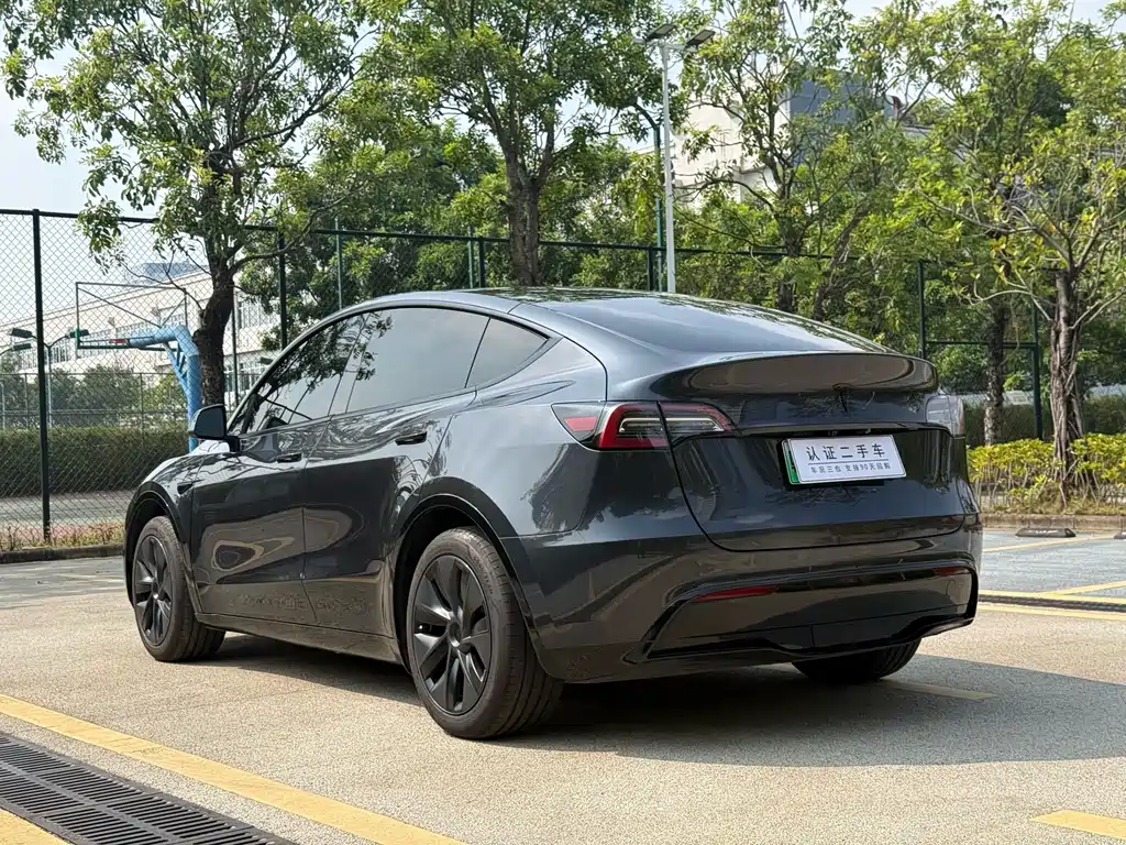 Tesla Model Y — миниатюра 9