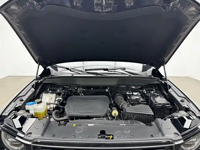 Haval Big Dog — миниатюра 17