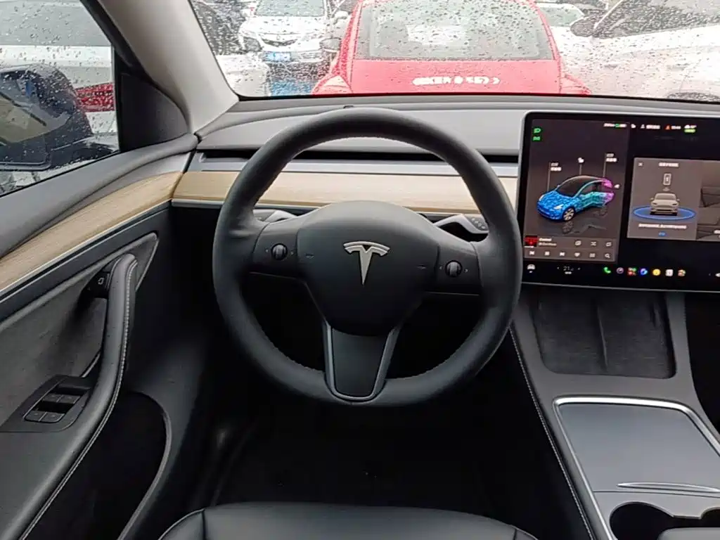 Tesla Model Y — миниатюра 11