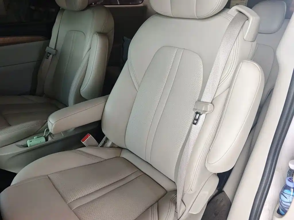 Buick GL8 — миниатюра 15