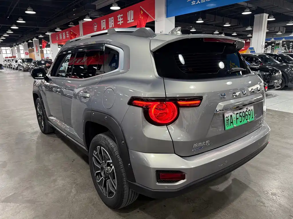 Haval Big Dog PLUS New Energy — миниатюра 6