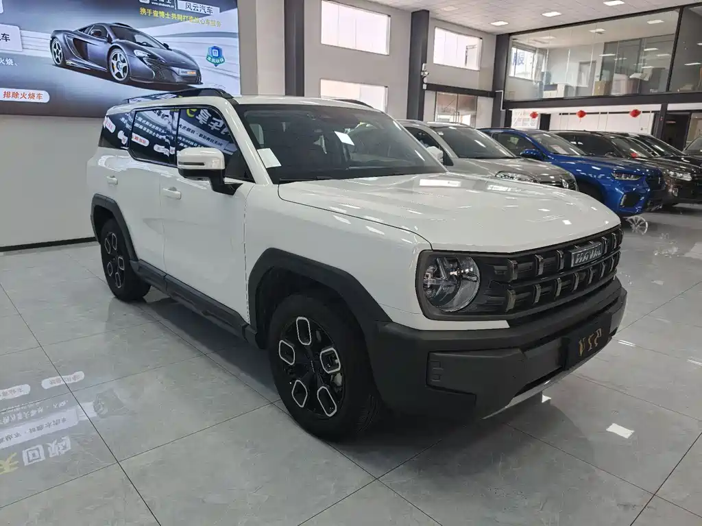 Haval Cool Dog — миниатюра 3