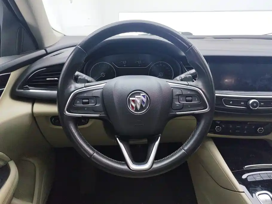 Buick Regal — миниатюра 15