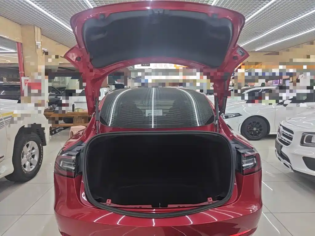 Tesla Model 3 — миниатюра 19