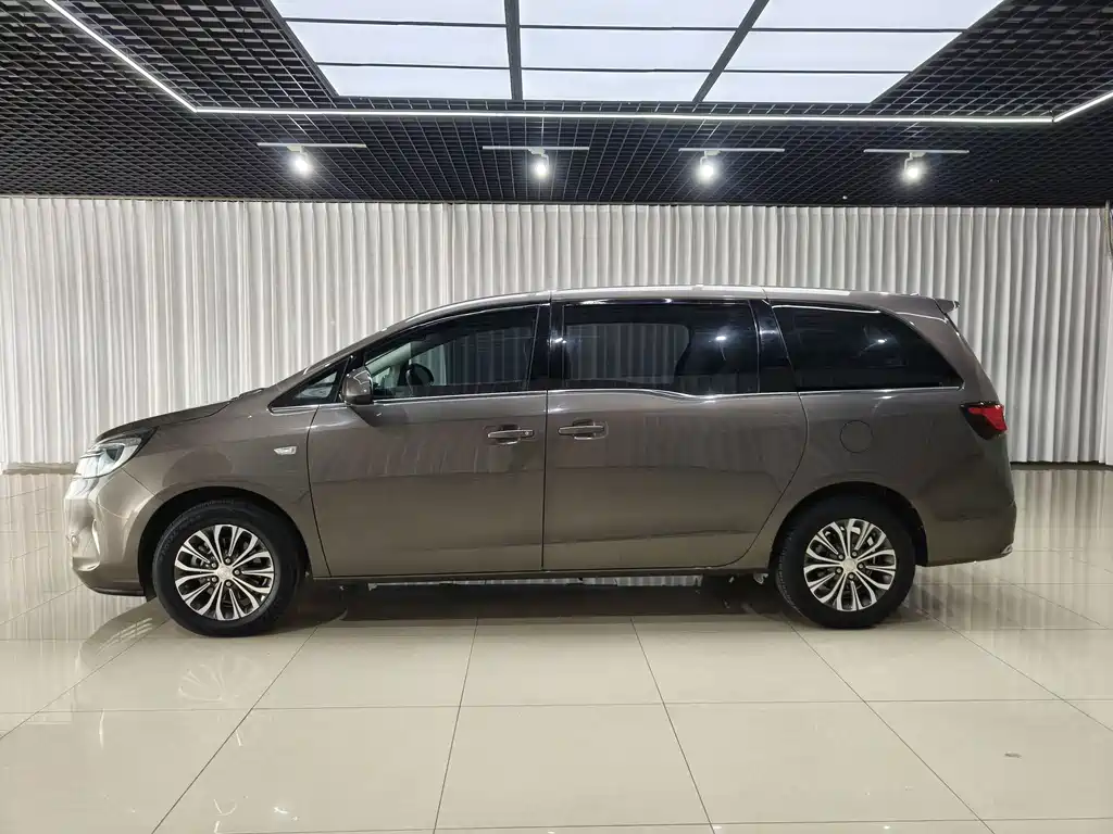 Buick GL8 — миниатюра 8