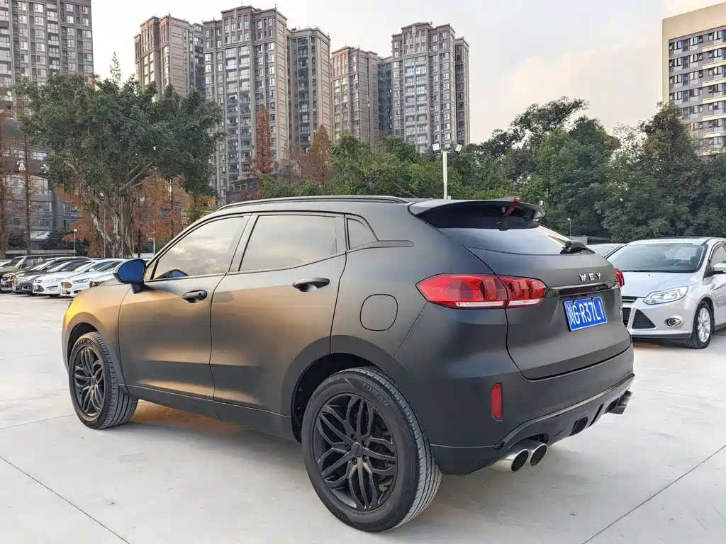 WEI PAI WEI BRAND VV5