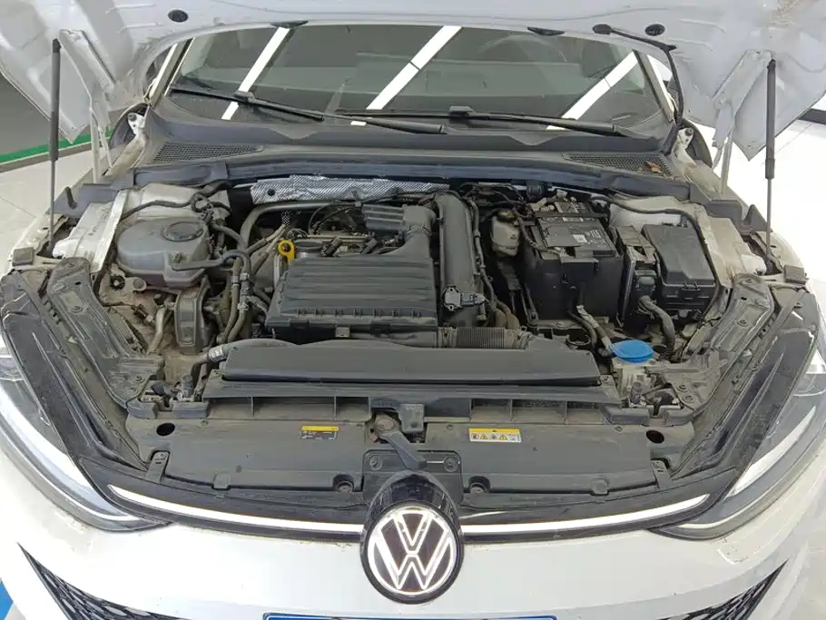 Volkswagen Lamando — миниатюра 10