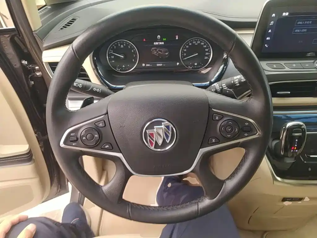 Buick GL8 — миниатюра 11